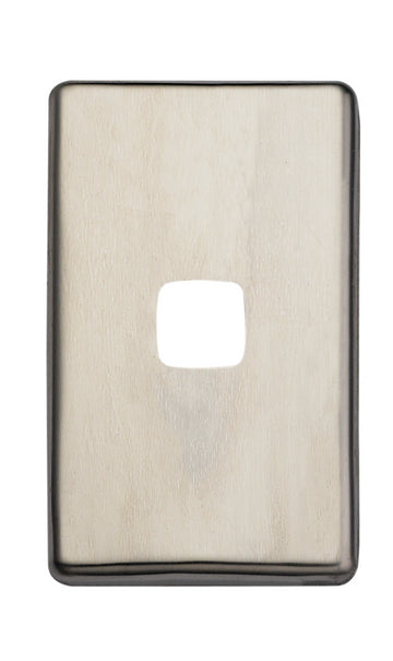 1 Gang Stainless Cover Plate