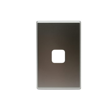 1 Gang Silver Cover Plate