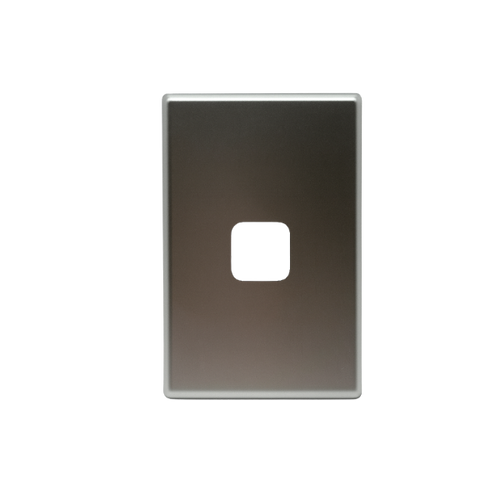 1 Gang Silver Cover Plate